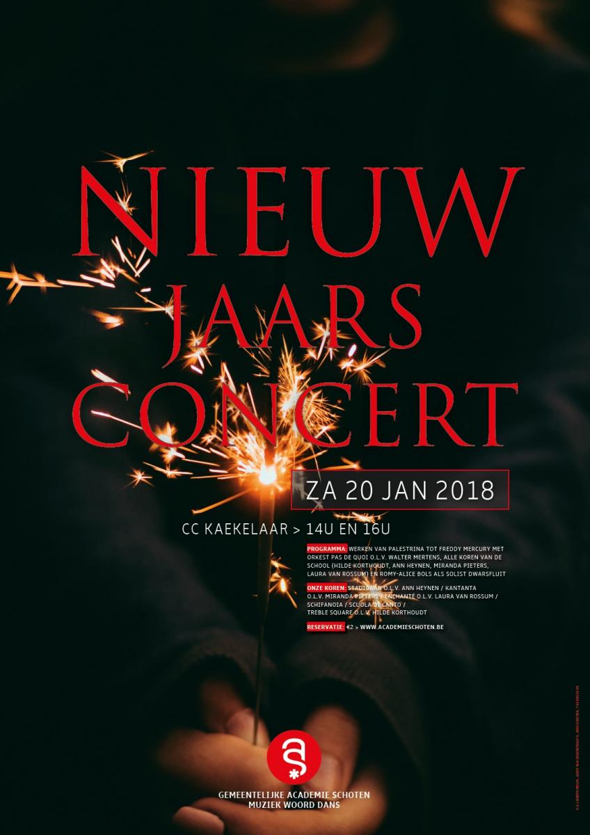 Nieuwjaarsconcert van klassiek tot pop  Gemeente Schoten