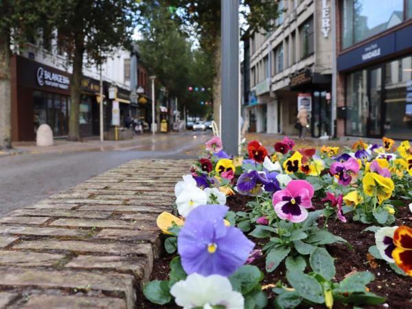 Paalstraat
