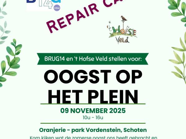 Oogst op het plein © Koen Van de Mieroop