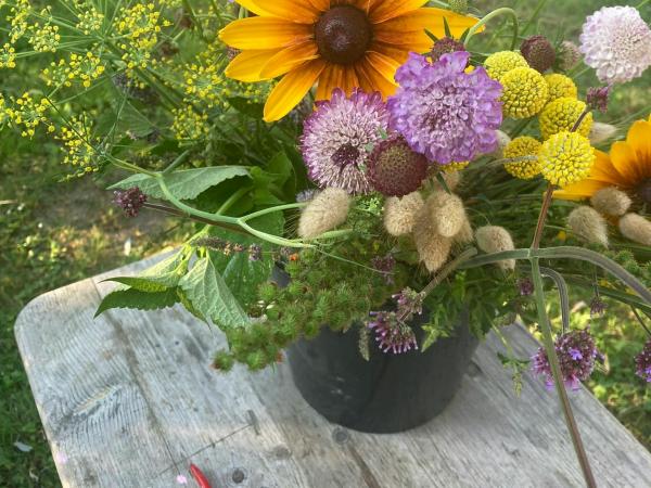 Bloemen pluktuin Kronkel. © Lore Schuerman