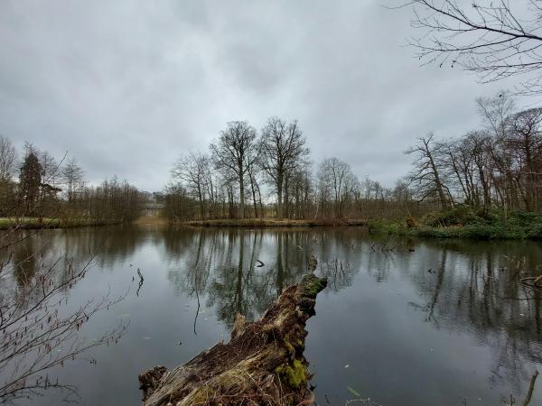 Lentewandeling Bonte Hannek Noord © Peter Van de Vijvere