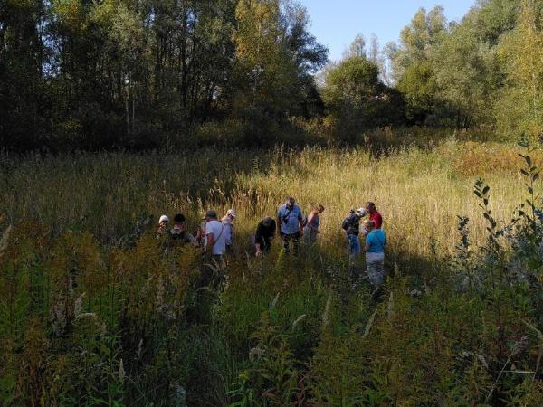 Vlinder- en kruidenwandeling in Het Wijtschot © Natuurpunt