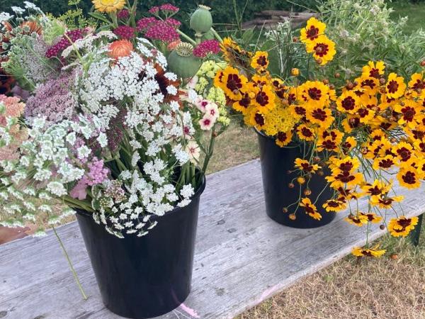 Bloemen pluktuin Kronkel. © Lore Schuerman