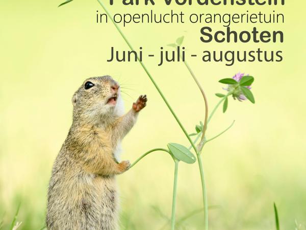 BVNF beLICHT NATUUR © BVNF