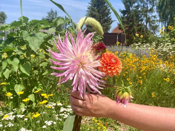 Bloemen pluktuin Kronkel. © Lore Schuerman