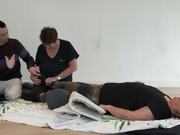 Workshops Shiatsu Geen voorkennis vereist © Shiatsu Tom