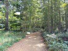 Looproutes