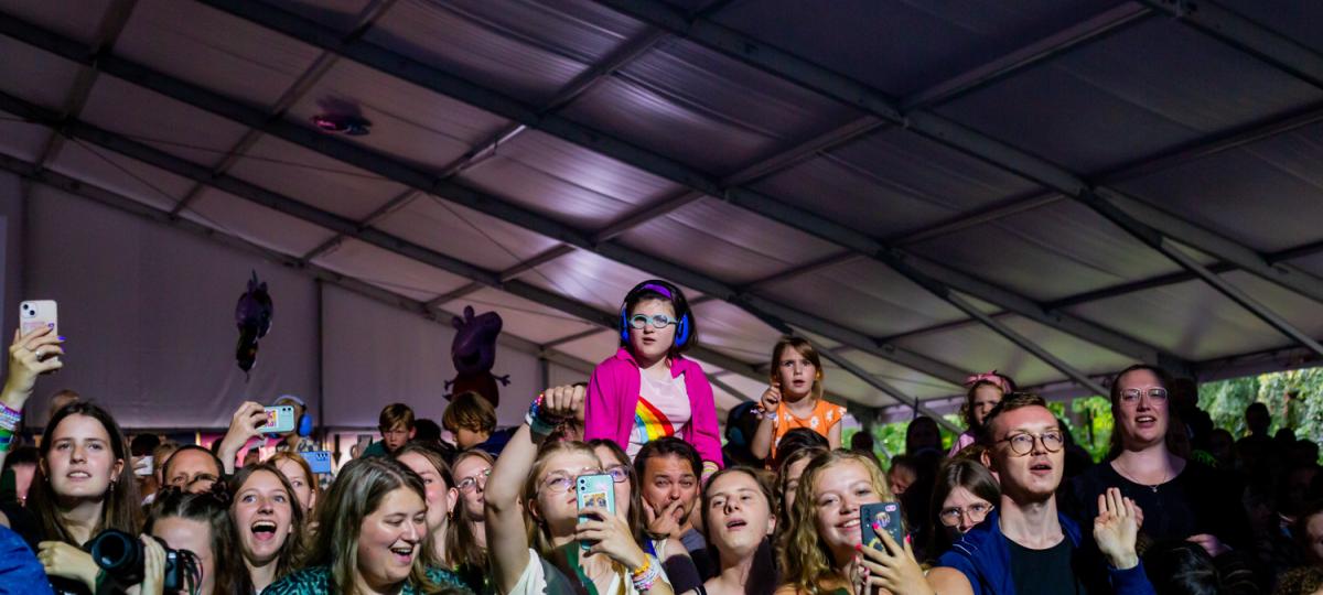 enthousiast publiek op de park happening