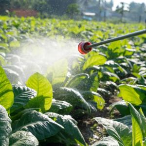 Pesticide