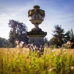 Wilde bloemen met daartussen een standbeeld