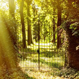 Poort met groen