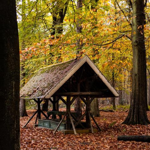 Peerdsbos