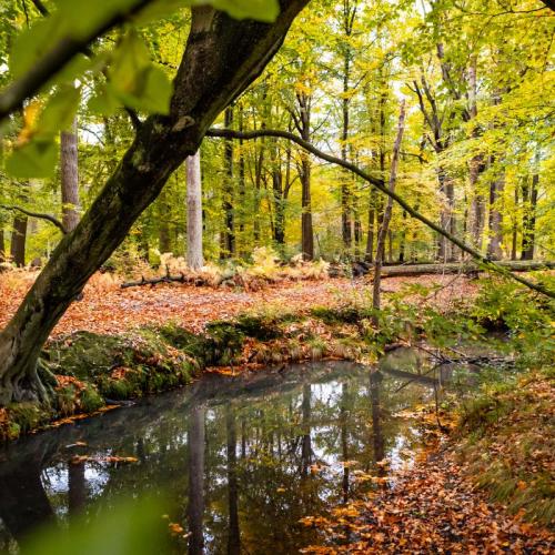 Natuurlijk Schoten