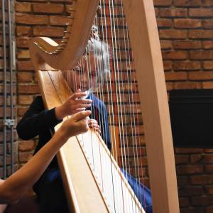 Harp