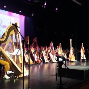 Harp