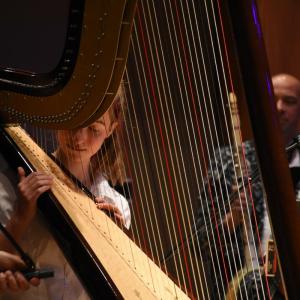 Harp