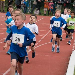 Bekijk de fotoreportage van de scholencross