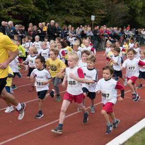 Bekijk de fotoreportage van de scholencross