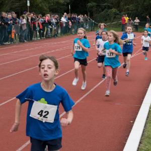 Bekijk de fotoreportage van de scholencross