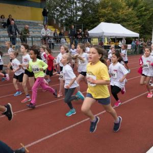 Bekijk de fotoreportage van de scholencross