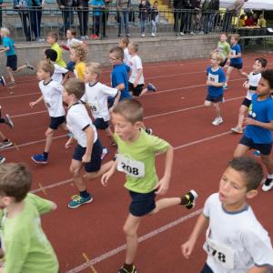 Bekijk de fotoreportage van de scholencross