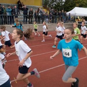 Bekijk de fotoreportage van de scholencross