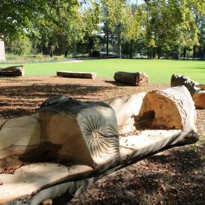 Oude boomstammen krijgen nieuw leven als picknickbank
