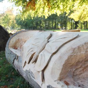 Oude boomstammen krijgen nieuw leven als picknickbank