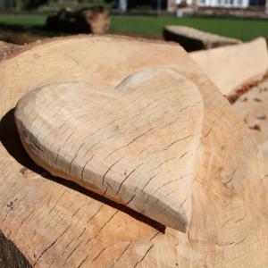 Oude boomstammen krijgen nieuw leven als picknickbank